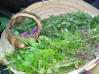 /album/decouvertes-en-balade/a3eme-tour-090-jpg/